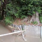 墓地裏の土塁