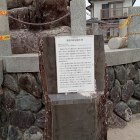 龍造寺隆信誕生地説明板　後ろの玉垣が倒れている。