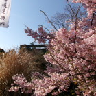 報徳二宮神社鳥居