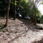 石垣ではなく元市長による庭園造成の失敗跡