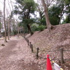 東堀掻揚土塁（城山公園側）