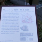 総構城下張出（堀側案内）
