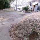 虎口（上から）