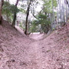右の城内側の土塁が高い