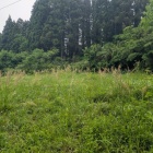 本丸に戻る
