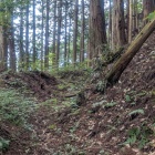 土塁と堀