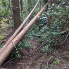 8つ目の堀　二重堀切の1つ目