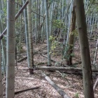 中段の扁平地