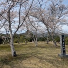 主郭