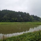 城址遠景
