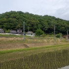 城址遠景