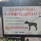 共生ですか