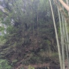 主郭北側の小山