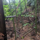 右手が本丸切岸