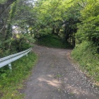 堀道か