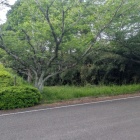 堀跡だろうか