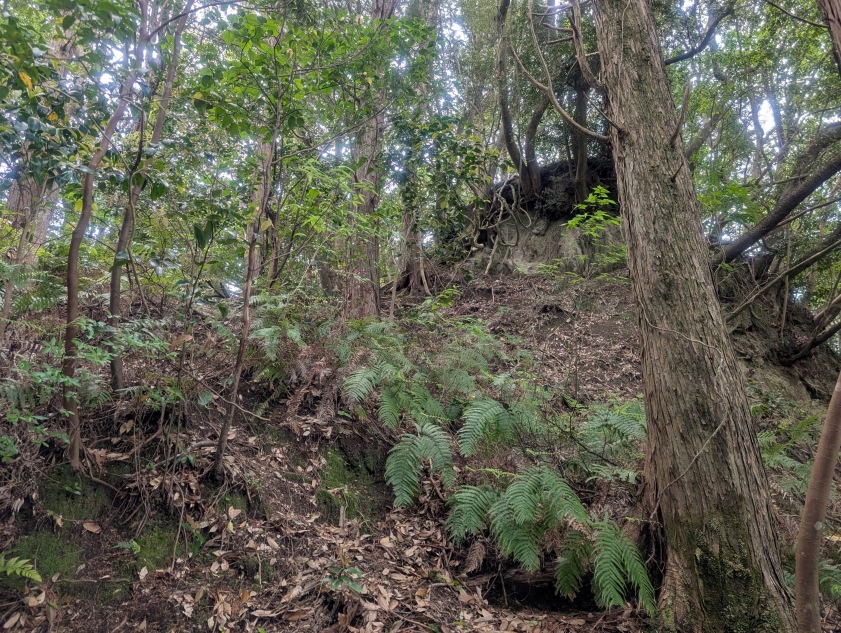 小山の裏　本丸北側