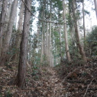 堀切