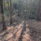 一度下って行って