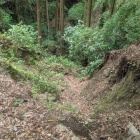 小山の前の堀切