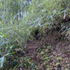 林道から尾根に取りつく