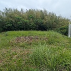 天守台跡とされる