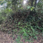 主郭南の土塁