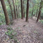 堀切が続く尾根