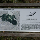 鶴と言うよりは飛行形態のガメラに近い