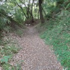 丁度良いハイキングコースです
