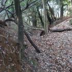 副郭・東郭間の二重横堀（東郭側）