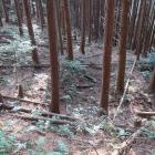 西尾根南西裾の畝状空堀群