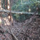 西尾根曲輪群西端の竪堀