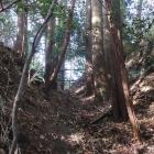 西尾根曲輪群南西側の堀切
