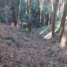 主郭部北側の堀切から西側に落ちる竪堀