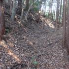 主郭南側の横堀。主郭への土橋脇に石垣が見られる