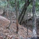 副郭と東郭間の二重横堀（副郭側）