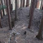 主郭部南端の堀切