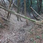副郭・東郭間から南に落ちる竪堀