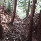 西尾根曲輪群南西側の堀切から東側に落ちる竪堀