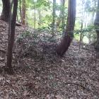 東殿東辺の土塁
