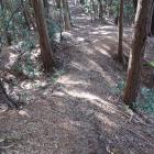 西の城・南西尾根の堀切（外側）