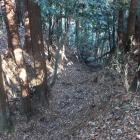 主郭北東部の竪堀
