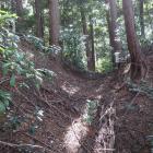 西の城・南西尾根の堀切（中側）