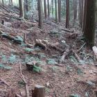 西尾根南西裾の畝状空堀群