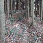 折れを設けた土塁と横堀。土塁外側に石垣が施されている