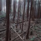主郭部南裾の横堀