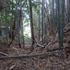 東殿と西殿間の竪堀