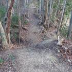 東の城・南西尾根の堀切（外側）