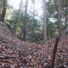 東の城・南西尾根の堀切（内側）